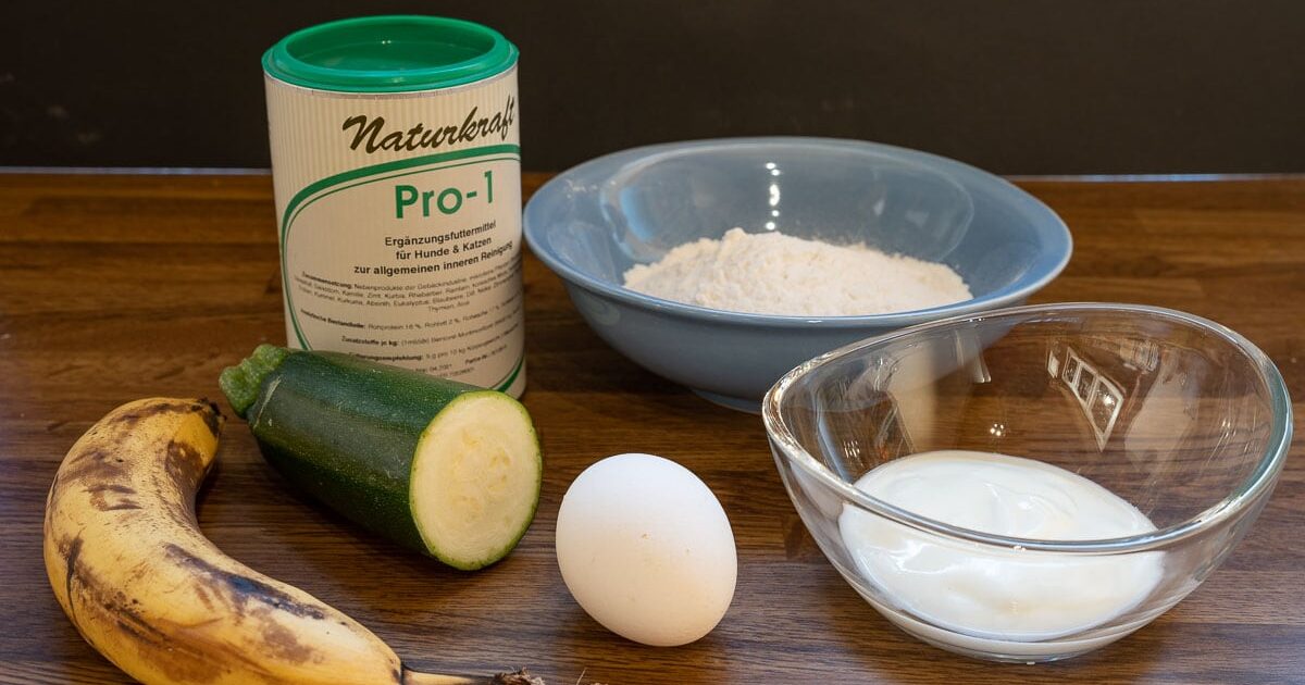 Zucchini-Kräuter-Chips
