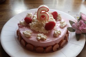 Hundetorte-mit-Himbeeren