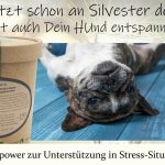 Naturkraft Pro 8 bei Silvesterangst