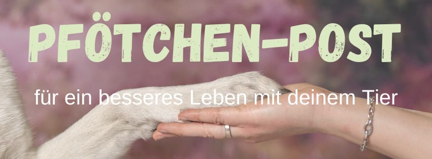 Pfötchen-Post der Newsletter von natürlich gesundes Tier