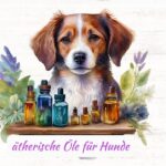 Titelbild ätherische Öle für Hunde - KI-generiert