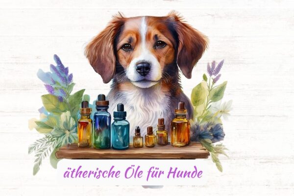 Ätherische Öle für Hunde