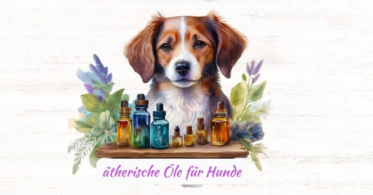 Titelbild ätherische Öle für Hunde - KI-generiert