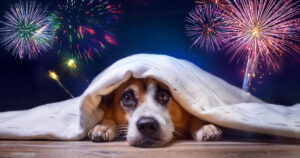 Hund-hat-Angst-vor-Silvester | KI-generiert 