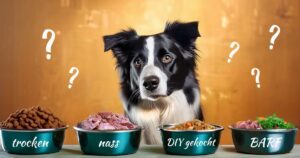 Futterarten: Was ist das beste Hundefutter?