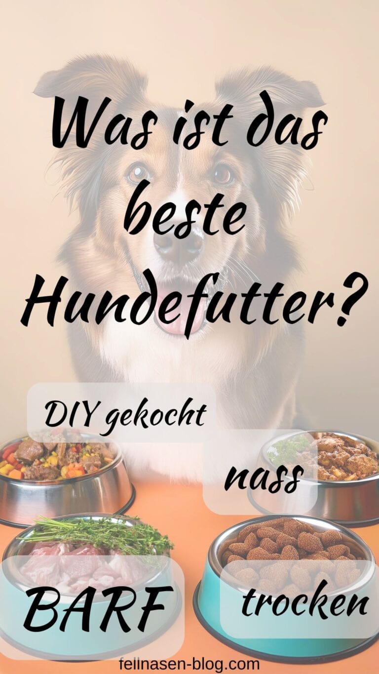 Futterarten: Was ist das beste Hundefutter?