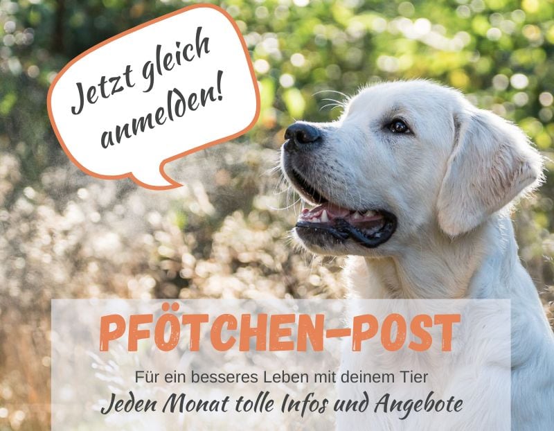 Newsletter-Anmeldung zur Pfötchenpost